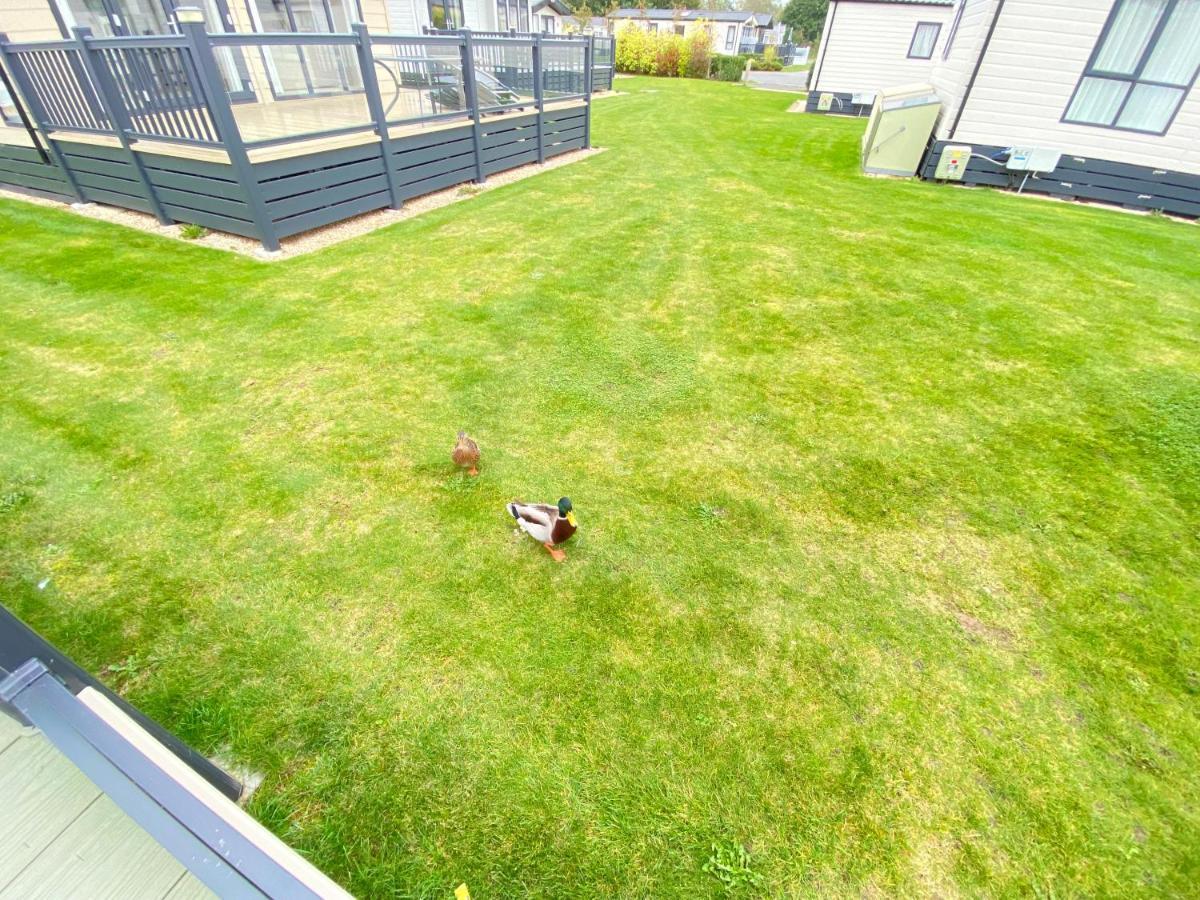 Wildflower, Premium Plus Hot Tub Lodge South Cerney Extérieur photo
