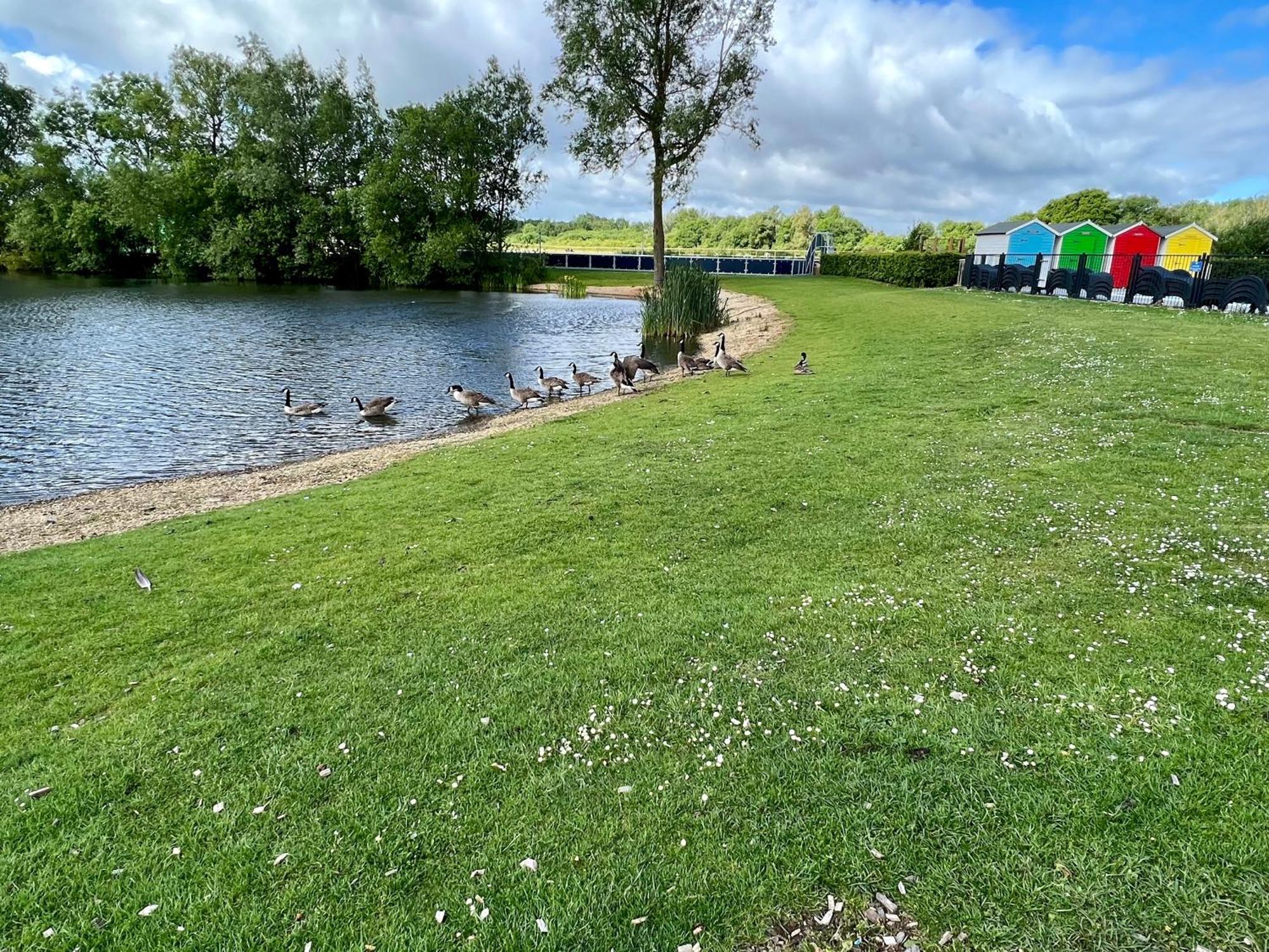 Wildflower, Premium Plus Hot Tub Lodge South Cerney Extérieur photo